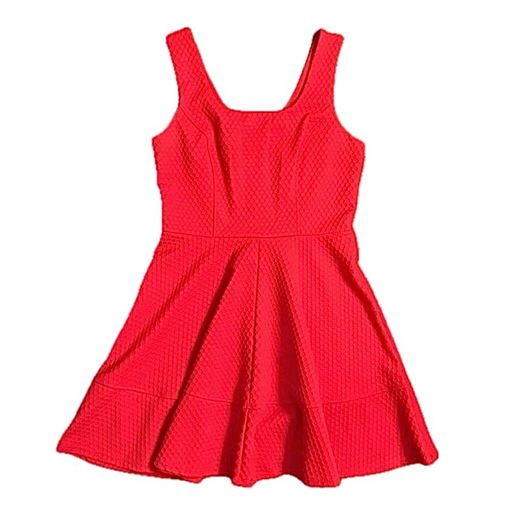 Textured Fabric Skater Sleeveless Dress
